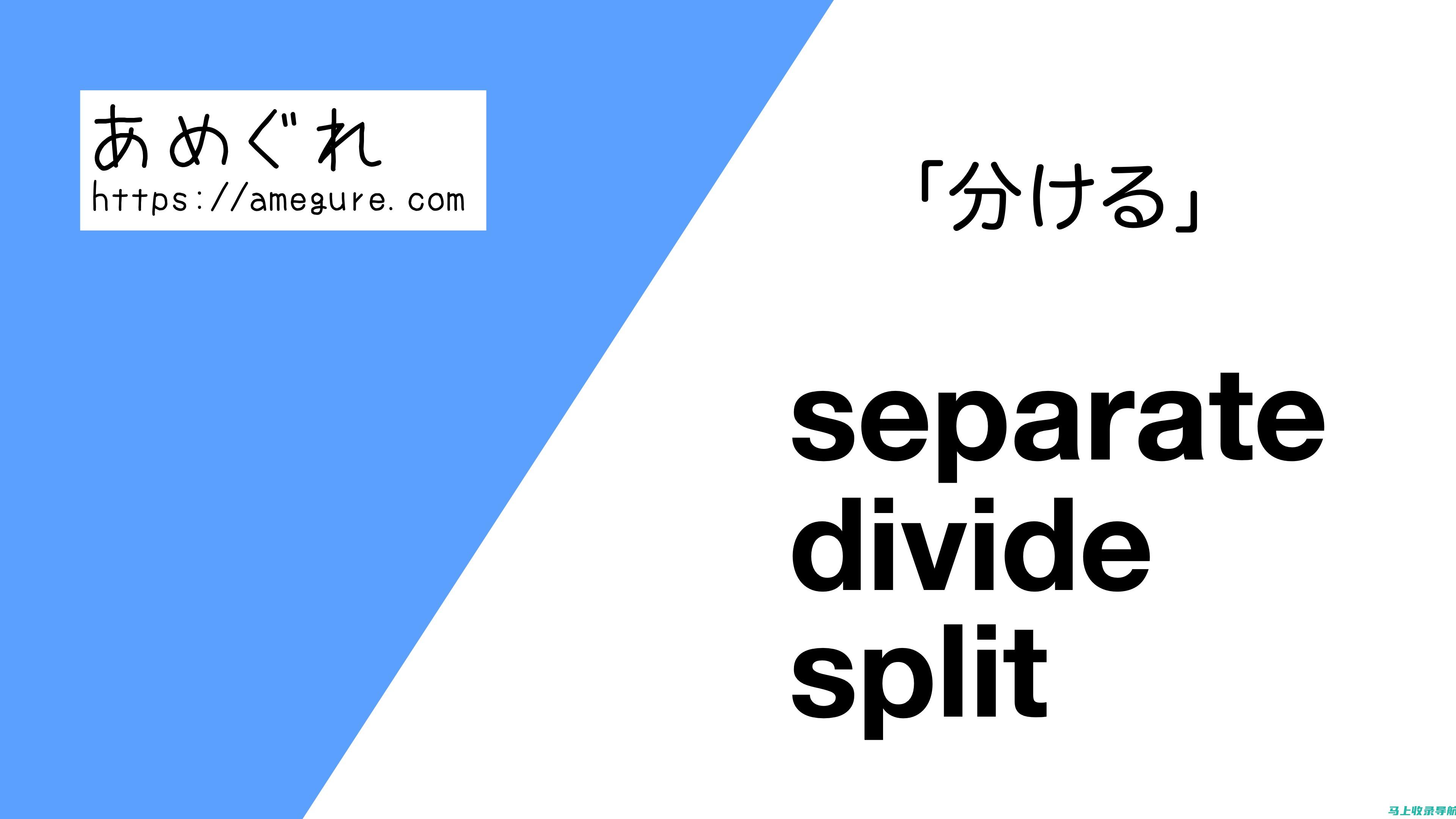 Separate：深度解析该词在各种表达方式中的运用特点